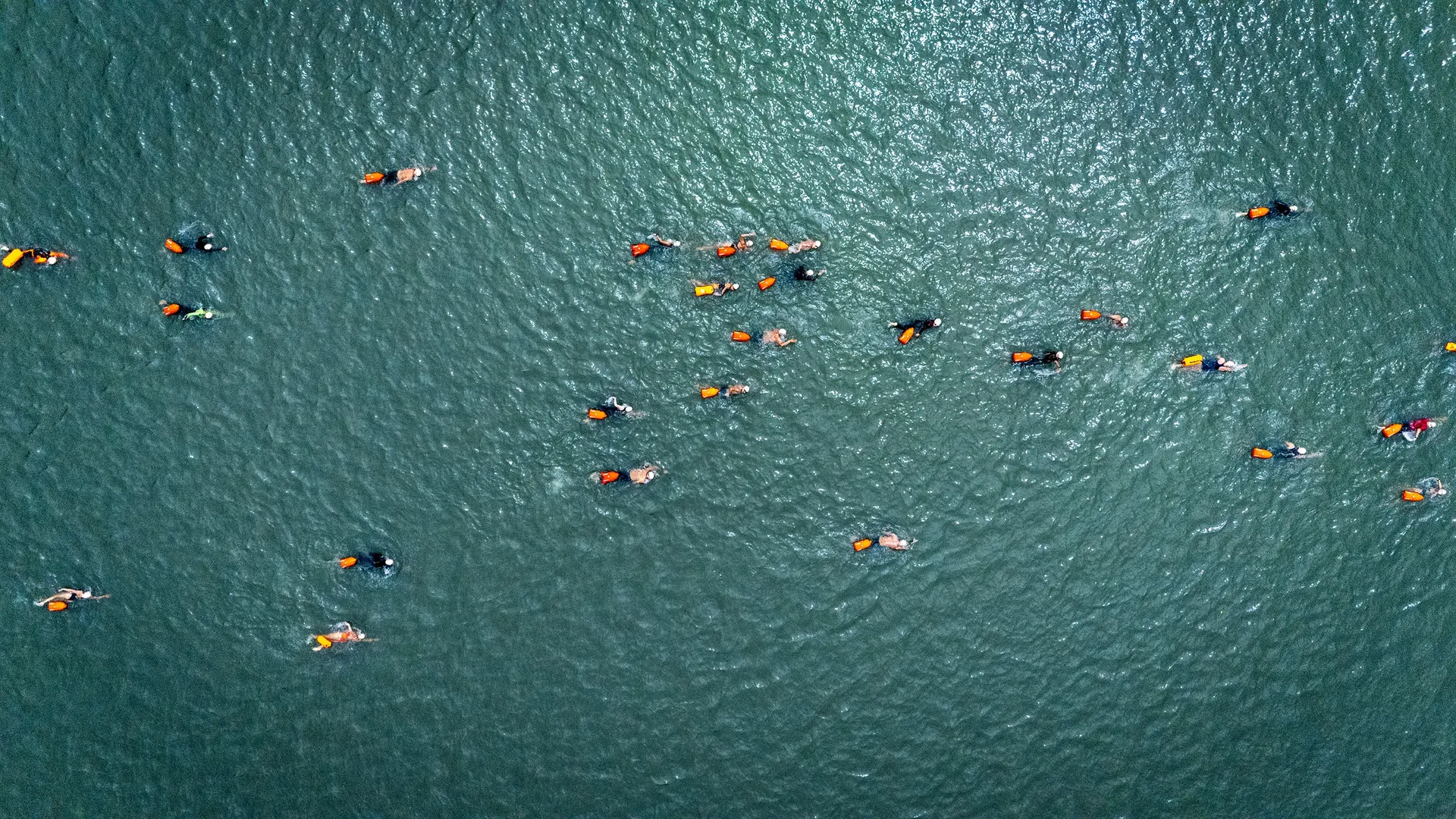 Blue Race Swim — Aguas abiertas · dron